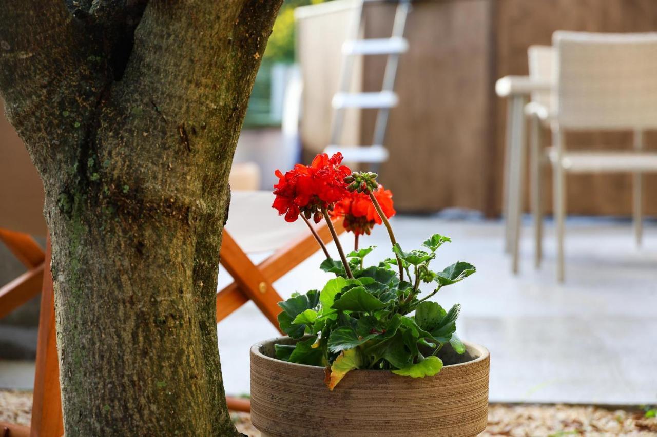 The Florens Residence Near The Beach With The Pool, Bbq And Kids Playground, Zadar Diklo Eksteriør bilde